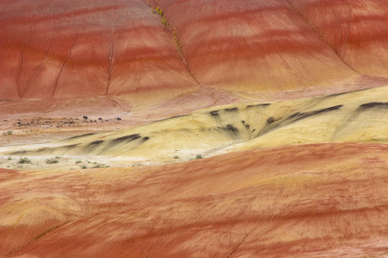 Detail Of The Painted Hills